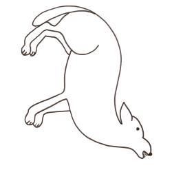 coloriage d'un loup