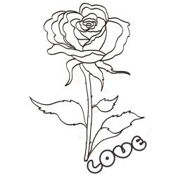 Coloriage de la rose à longue tige