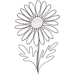coloriage d'une marguerite