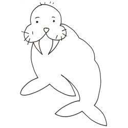 coloriage d'un morse