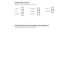 Imprimer la fiche d'observation : à quoi sert le nez ?