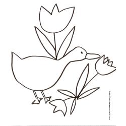 Coloriage d'une oie et 3 tulipes