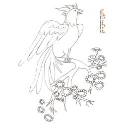 Coloriage oiseau a crete