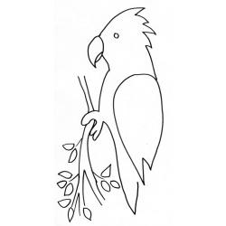 Coloriage d'un perroquet 