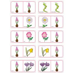 Planche 13 des Dominos sur les fleurs de printemps et d'été