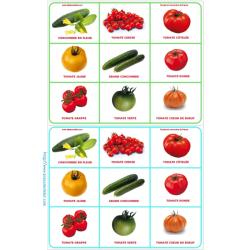 Planche 1 loto tomate