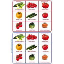 Planche 2 loto tomate
