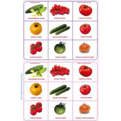 Planche 3 loto tomate