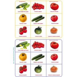 Loto tomate - Planche 4