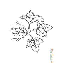 Fraisier avec petites racines à colorier 