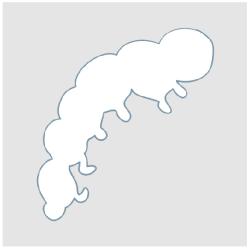Imprimer le pochoir chenille