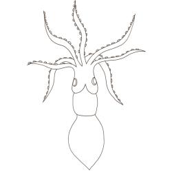 Coloriage d'un poulpe ou dessin de pieuvre pour les enfants, à télécharger gratuitement et à imprimer. Un coloriage sur le thème de la mer pour occuper les enfants. Ce coloriage pourra être utilisé po