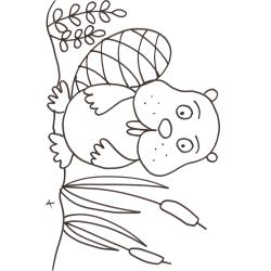 coloriage du raton dans les roseaux