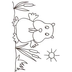coloriage du raton bras en l'air