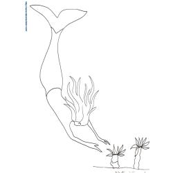 Coloriage sirène plongeant dans la mer