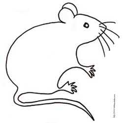 coloriage d'une souris à moustaches