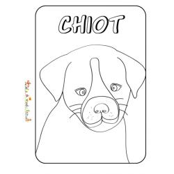 Tête de chiot à colorier