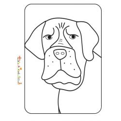 Coloriage Tête de bouledogue
