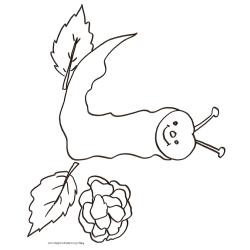 Coloriage du vers souriant devant sa salade