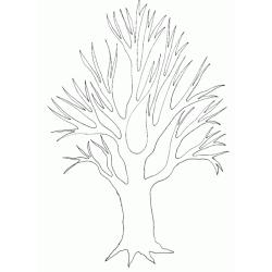 Imprimer modèle d'arbre 13 