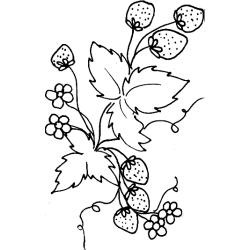 Coloriage feuilles et fraises