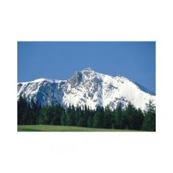 montagne 