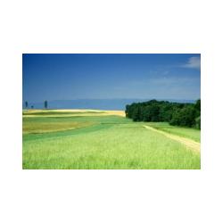 Prairie