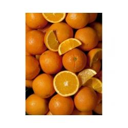 Vitamines et grossesse