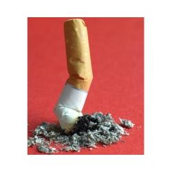 Supprimer le tabac pendant la grossesse ?