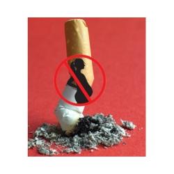 Le tabac pendant la grossesse 