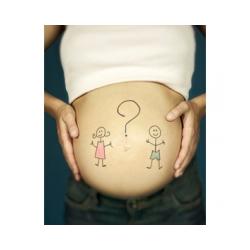 Formation du sexe externe de bébé