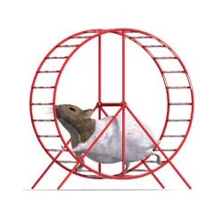 le hamster 