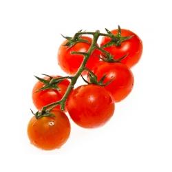 La longue histoire de la tomate