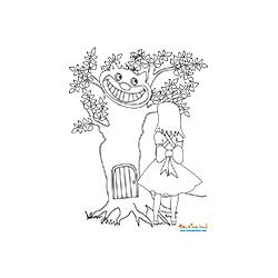 Alice rencontre le chat dans la nuit
