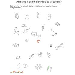Activitésur les aliments d'origine animale ou végétale