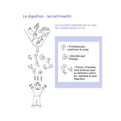 Activité pour mieux comprendre les nutriments et leur rôle dans l'alimentation