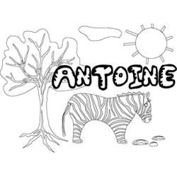 Antoine