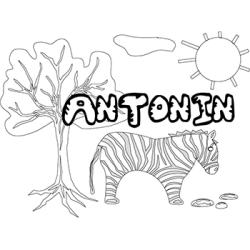 Antonin
