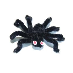 araignée velue