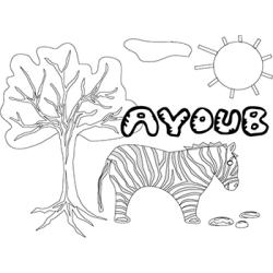 Ayoub