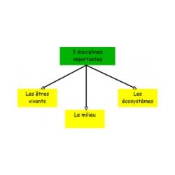 Les disciplines de l'écologie