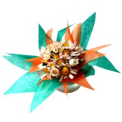 Bouquet de pâquerettes à  offrir en cadeau