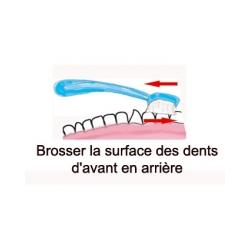 Brossage des dents efficaces