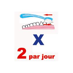 Brossage des dents