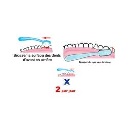 Les étapes du brossage