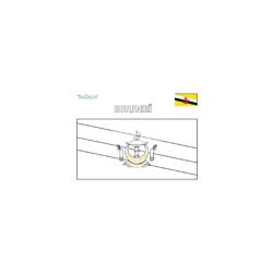 Coloriage drapeau Brunei