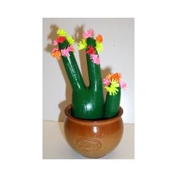 Fabriquer un cactus en plâtre à offrir en cadeau