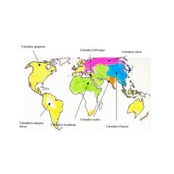 Calendrier du monde