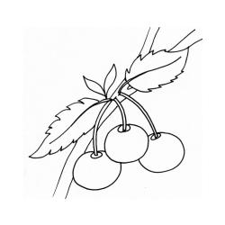 Coloriage sur la nature
