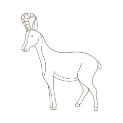chamois